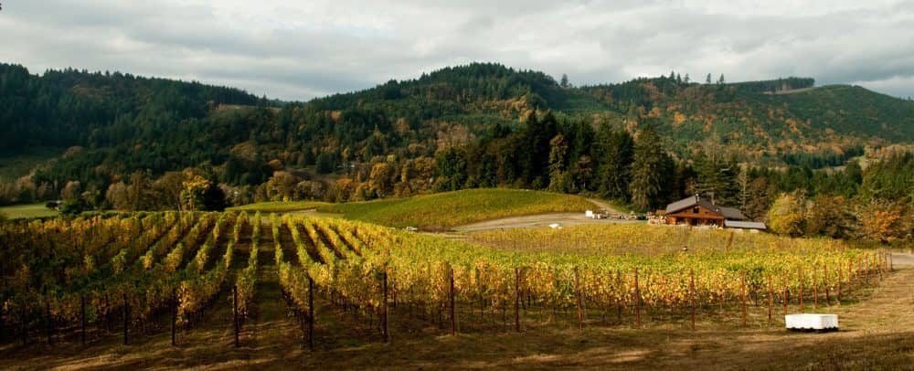 The beautiful landscape and vineyards at Coeur de Terre, a winery and vineyard in the McMinnville Foothills wine region of Oregon.