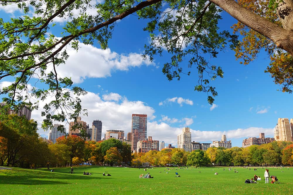 Central Park, one of the best free activities for kids in New York