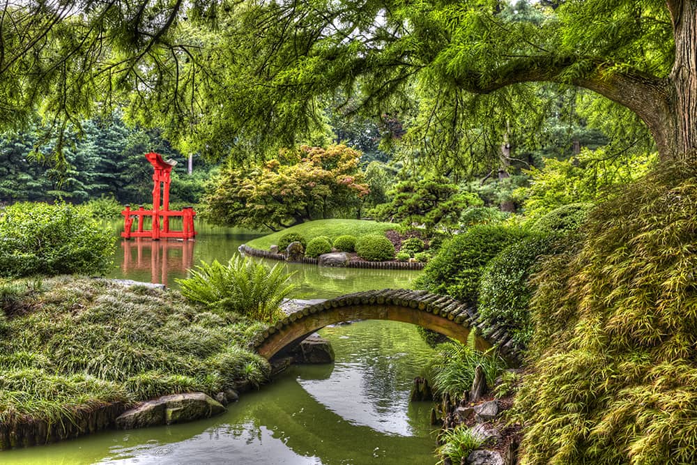 Scenic view of the Brooklyn Botanical Garden, one of the best free things to do with kids in New York