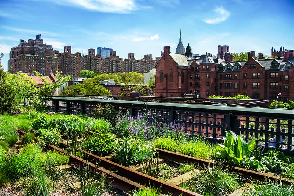 High Line in New York, one of the top free activities for kids