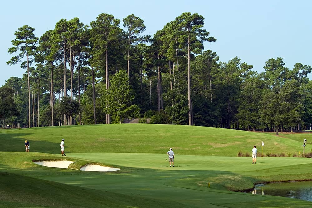 Afternoon golfing, which is one way you can enjoy a cheap golf trip in Myrtle Beach. 