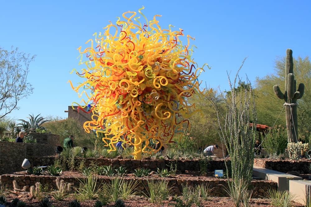 Glass sculpture and succulents at Phoenix Botanical Garden, one of the top free places for families.