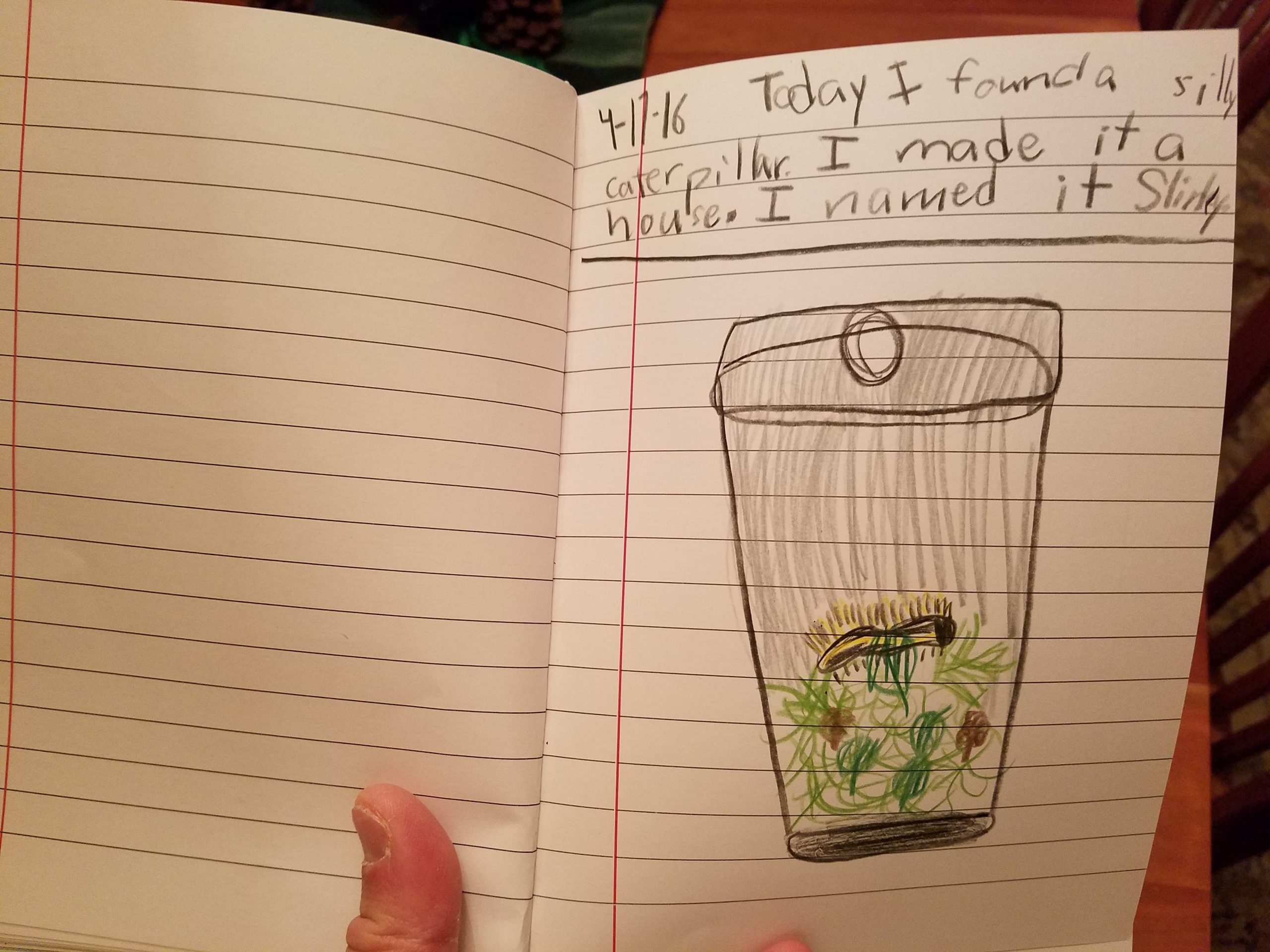 Sketch from the kid's journal