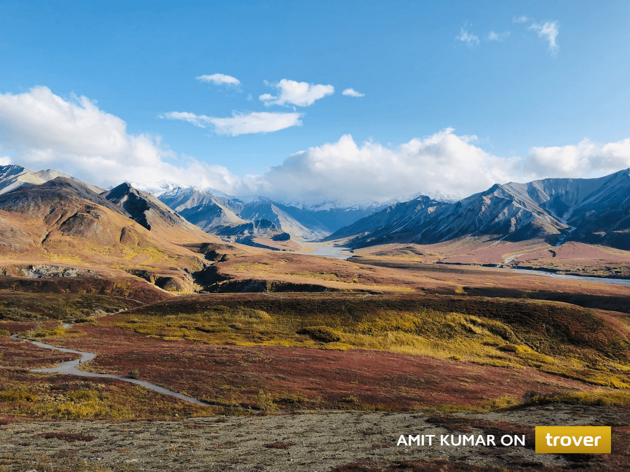 Denali National Park, Alaska. Trover photo by Anit Kumar.