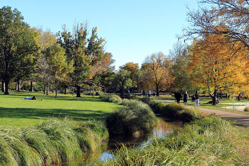 A sunny day in green, lush Washington Park, one of the best free things to do in Denver with kids.