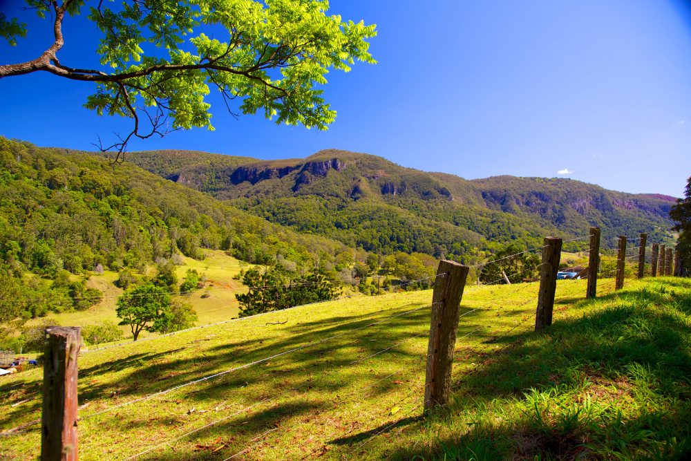 A wire fence spans a sun-dappled hill with rolling tree-covered hills in the background