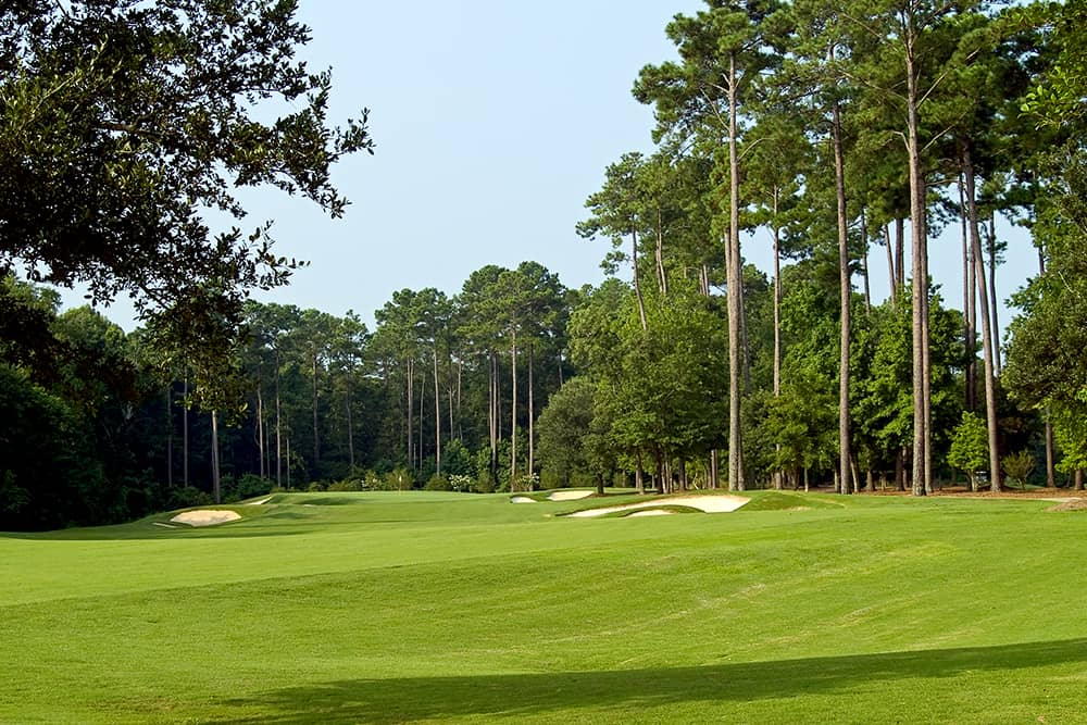 Rolling greens of the best golf courses in Myrtle Beach, where you can enjoy a cheap golf trip. 
