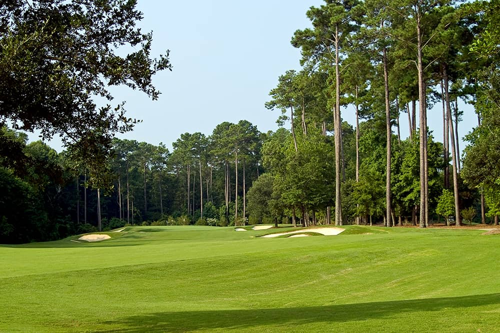 The best golf courses in Myrtle Beach Rolling greens of the best golf courses in Myrtle Beach, where you can enjoy a cheap golf trip.