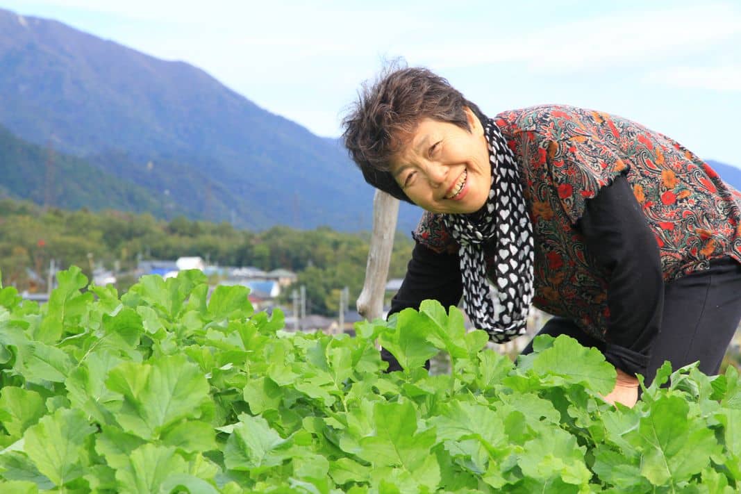 A local woman harvesting vegetables in the Japanese countryside