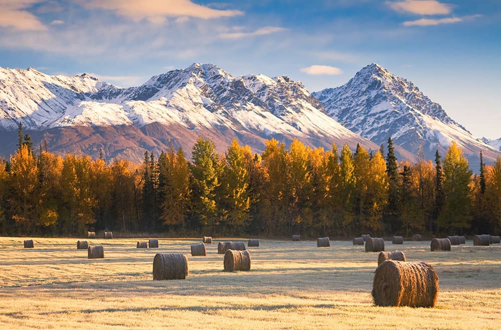 Fall season in Palmer, Alaska