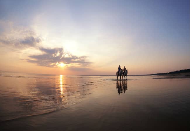 Honeymoon couple riding horses on the beach on Amelia Island