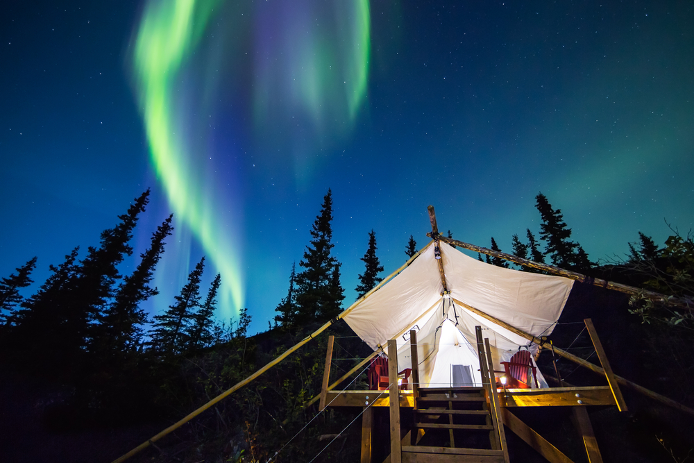 aurora borealis over tent in Alaskan forest