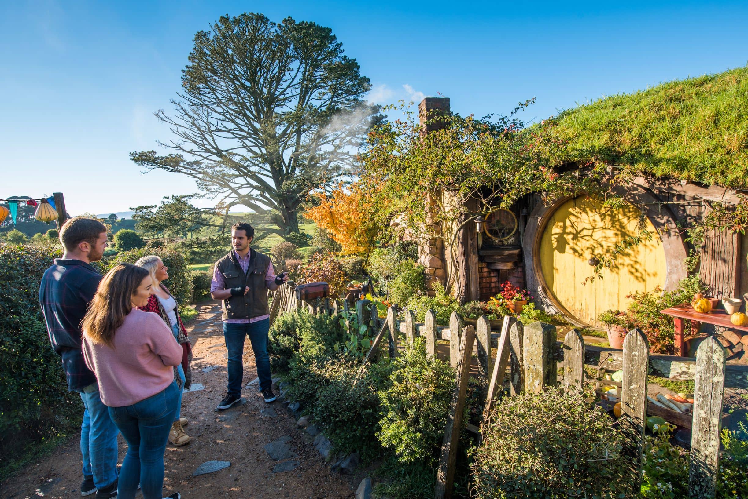 Appreciate a Dragon Day - Hobbiton