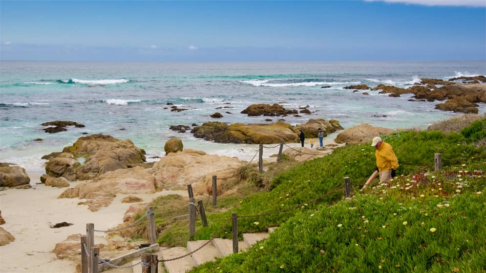 Asilomar State Beach Monterey