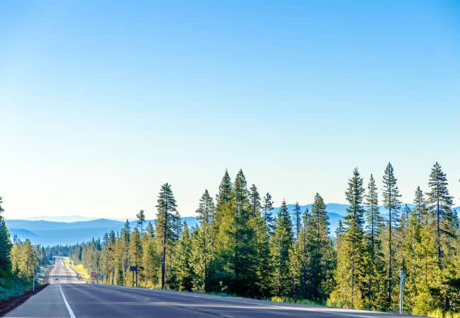 Trees along the highway in Bend, Oregon