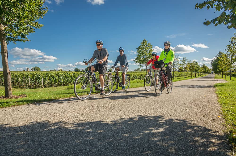 Cruise guests having fun at their bike tour