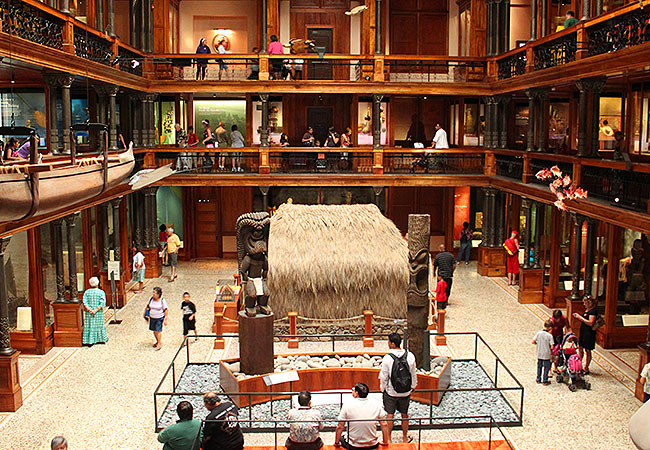 Interior of Bishop museum in Honolulu