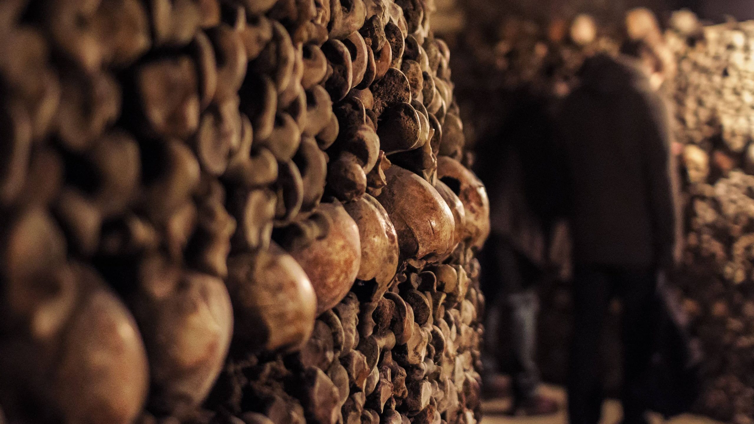 Bones in the Catacombs below Paris