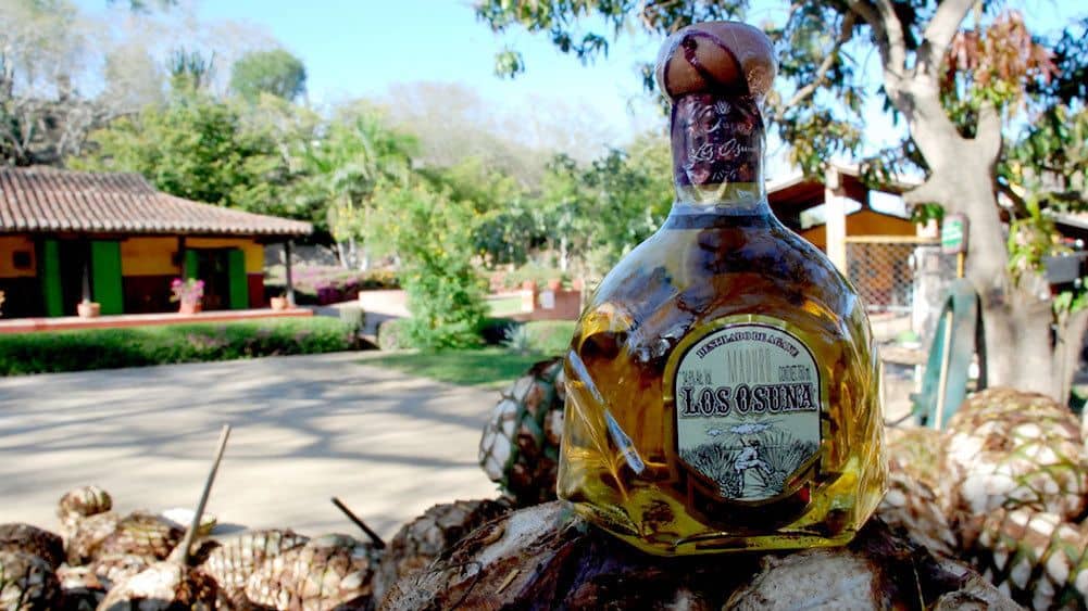 Bottle of mezcal in Mazatlan
