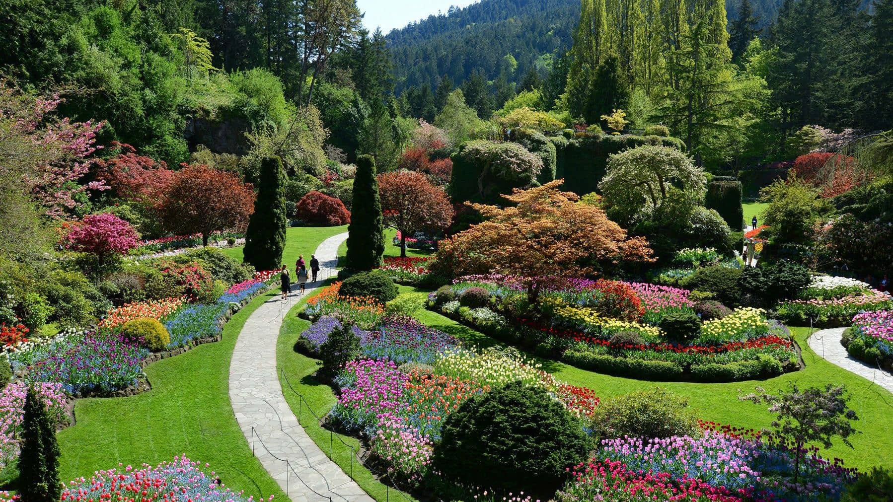 Butchart Gardens in Bloom