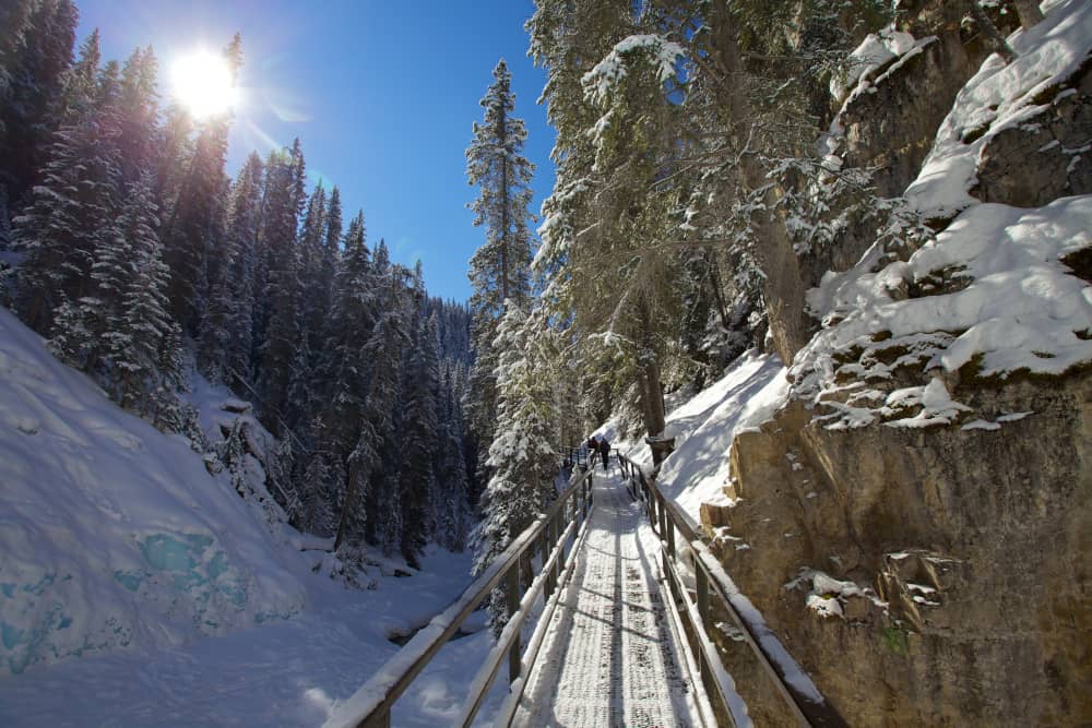 canadian rockies