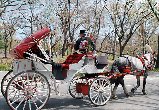 Horse-drawn carriage with passengers in Central Park in New York