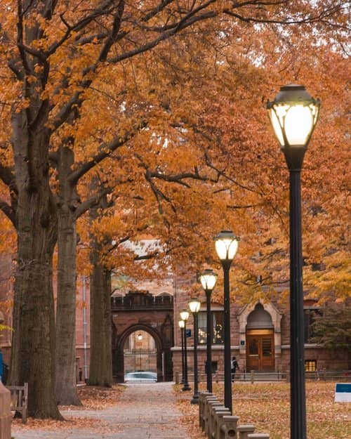 Yale University in Connecticut