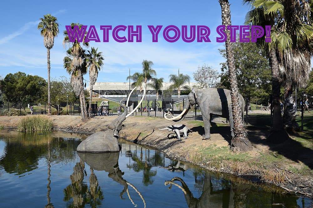 Figures of two prehistoric adult elephants and their baby on the banks of the La Brea Tar Pits. One of the adults is stuck in the pit and calling out for help
