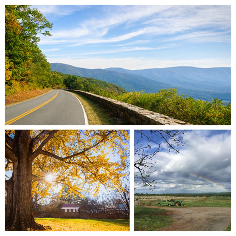 Views of the landscape in Charlottesville, Virginia, from the blue mountain range of the Shenandoah Valley to the lush vineyards with a rainbow overhead.
