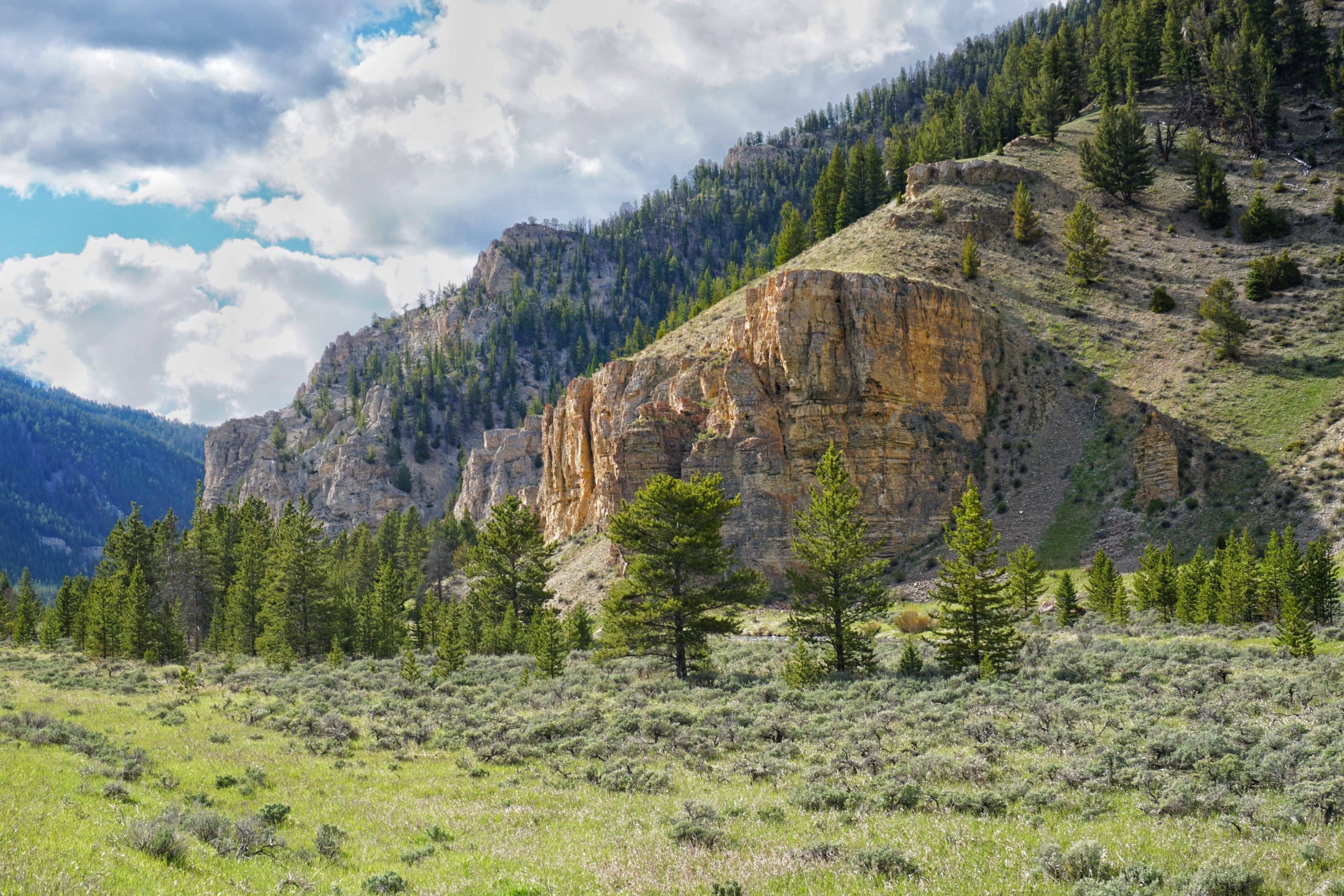 Along the road inside Yellowstone