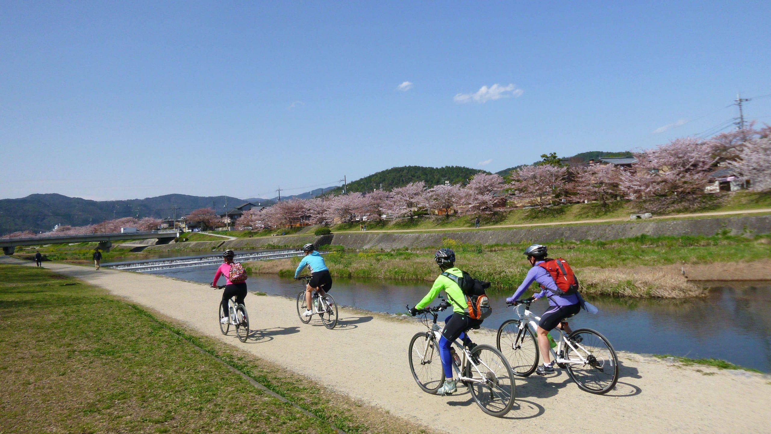 Eco-friendly bicycle tour in Kyoto