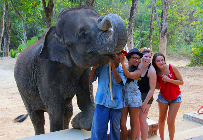 Four young people pose with Elephant in Phuket