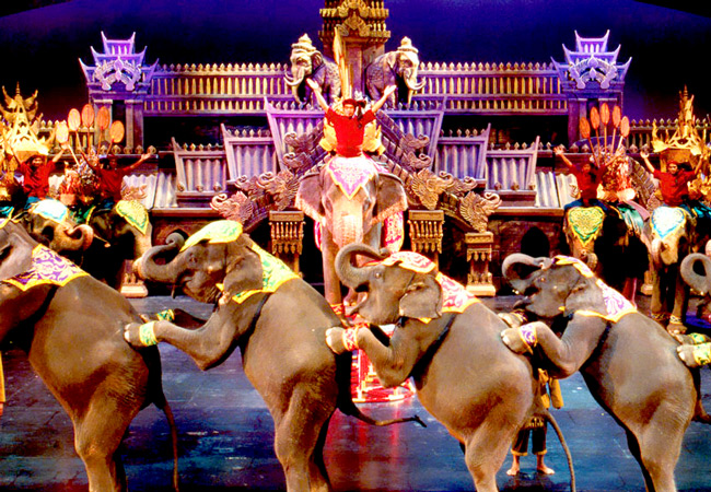 Elephants performing in a Thai spectacle show