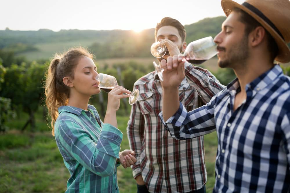 Happy people tasting wine in vineyard near Portland, Oregon. 