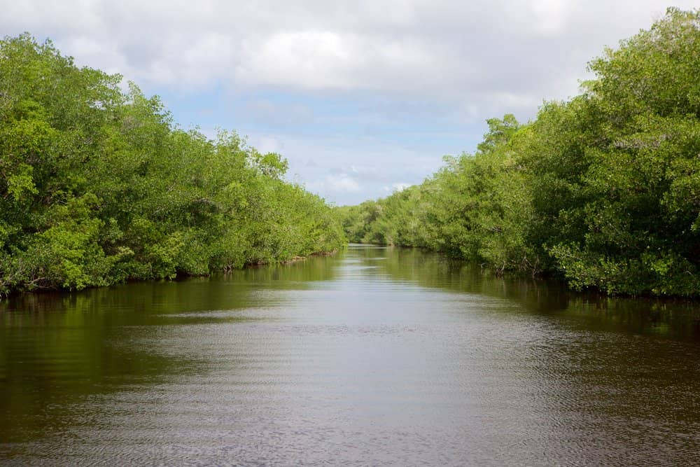 The Everglades National Park in Florida