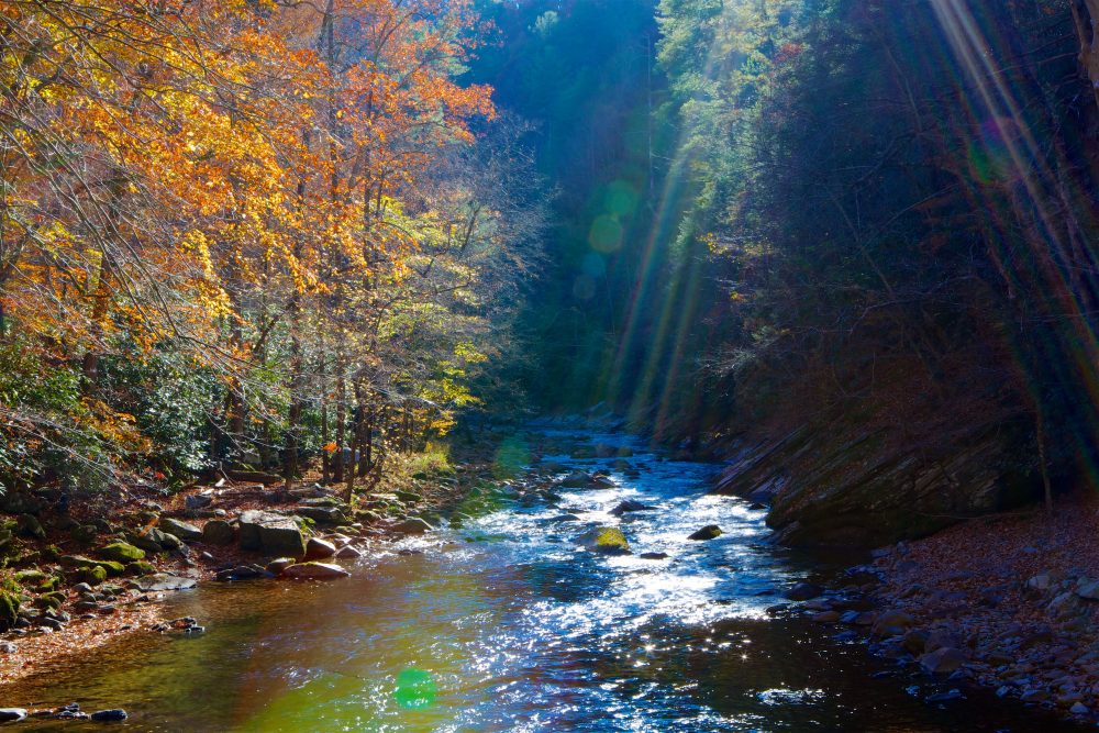 Sunny view of a rocky creek running through the Great Smoky Mountains National Park