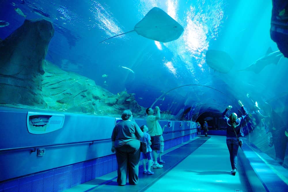 The Georgia Aquarium in Georgia