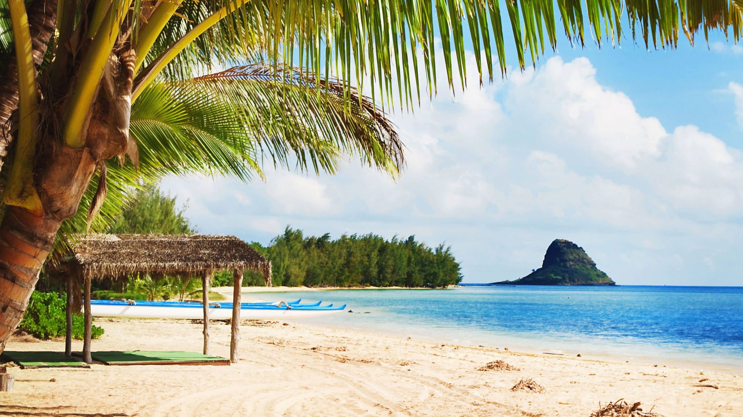 One of Hawaii's beautiful white sand beaches