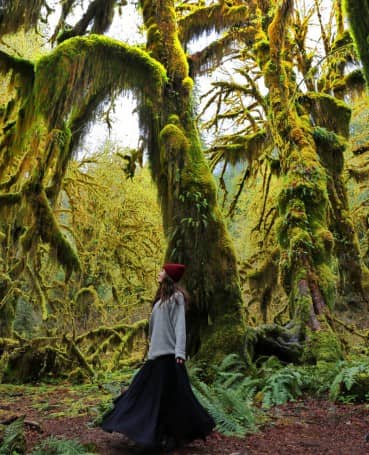 Hoh-Rainforest-Courtney-Scott-1050x1293