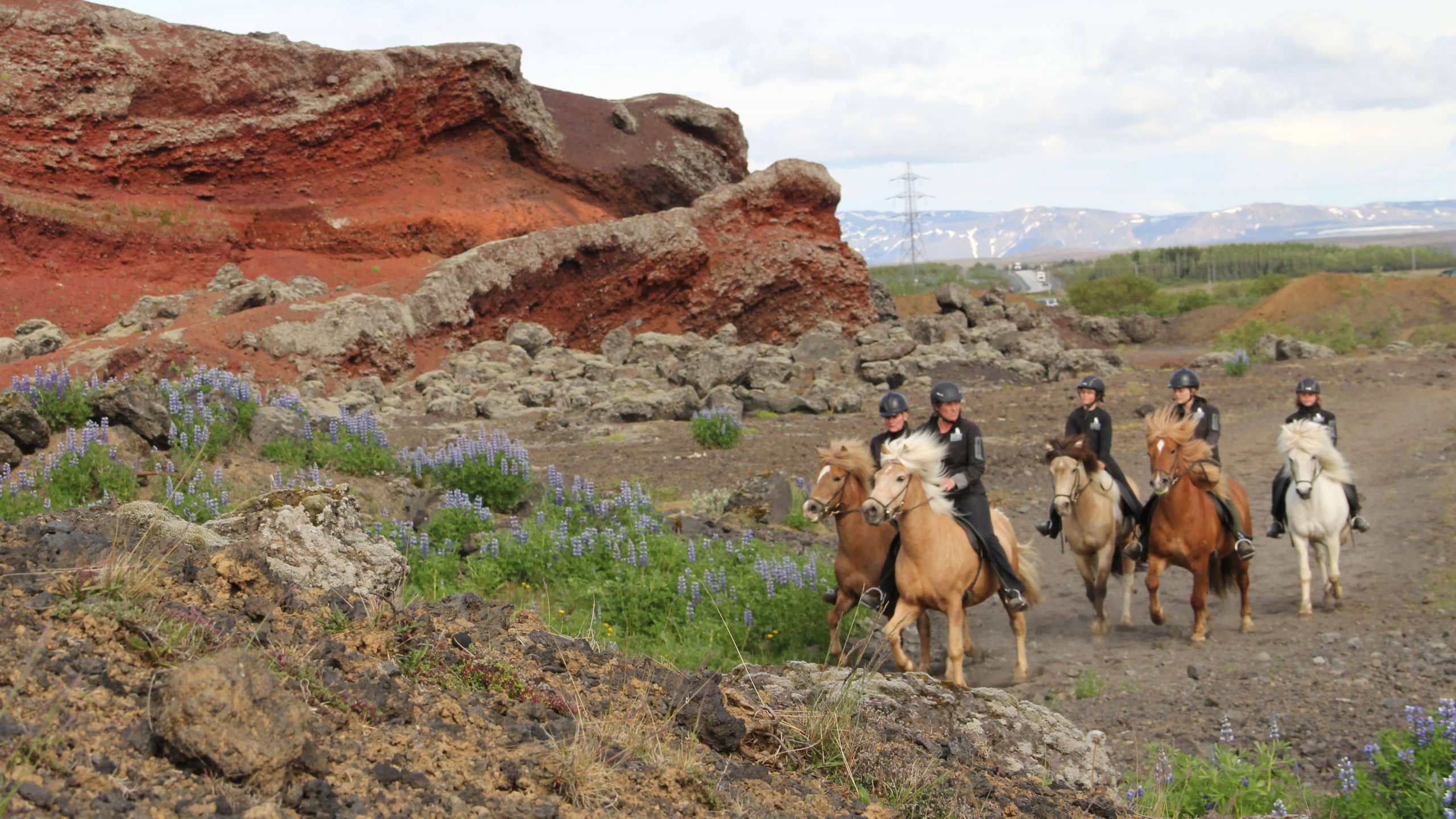 Group of people horseback riding up a hill on horseback in Iceland