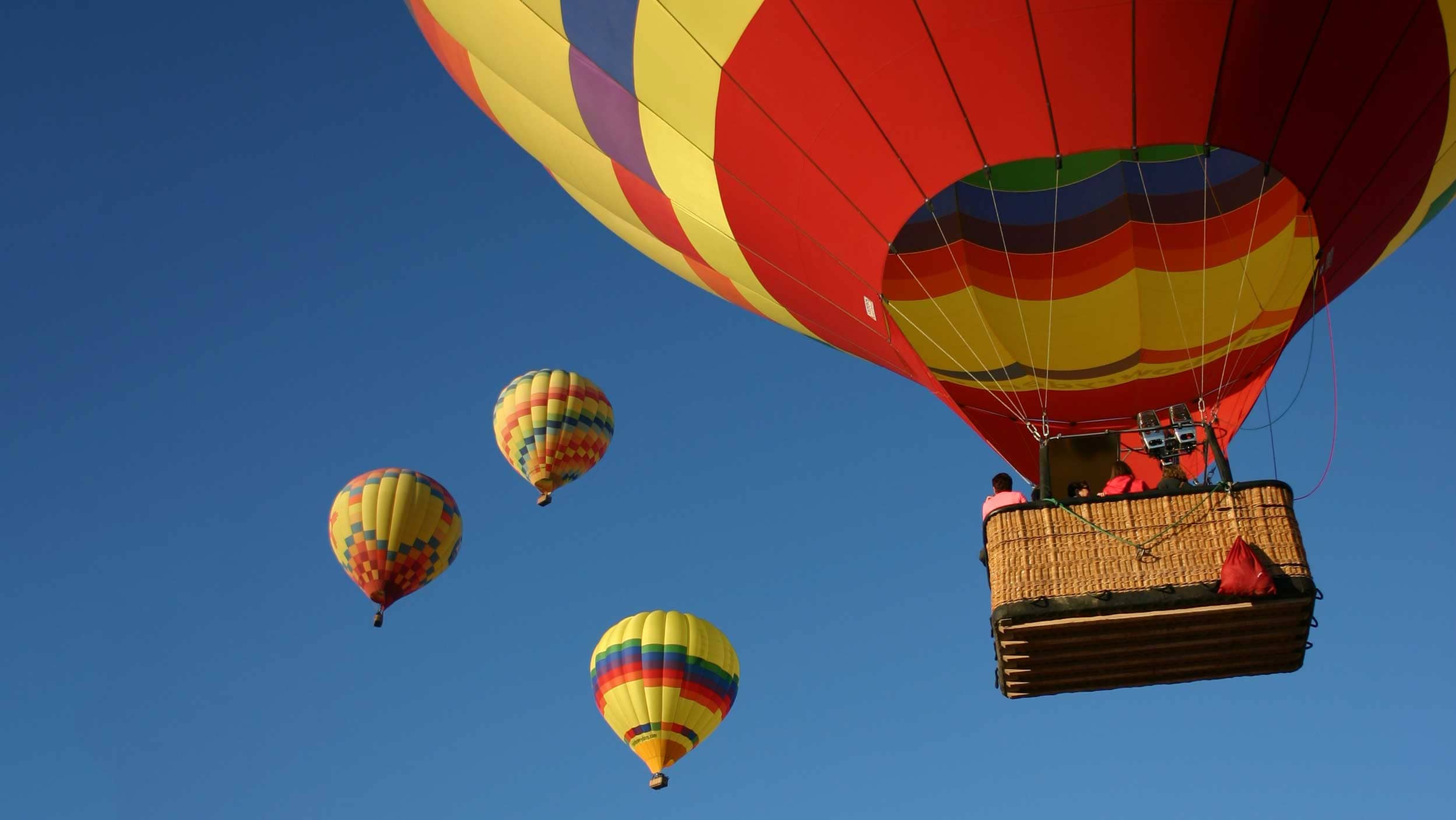 Colorful balloons fill Albuquerque's sky.