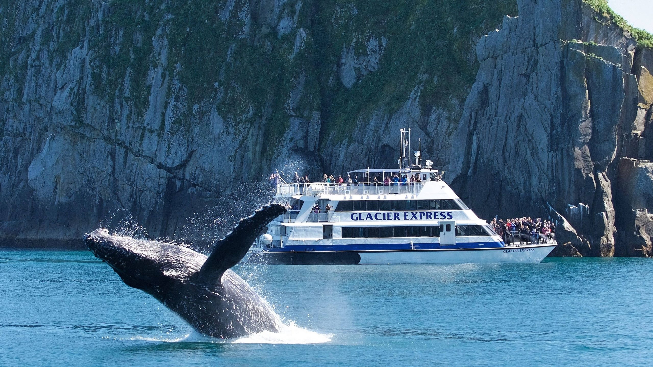 Humpback whale Kenai Fjords National Park in Alaska