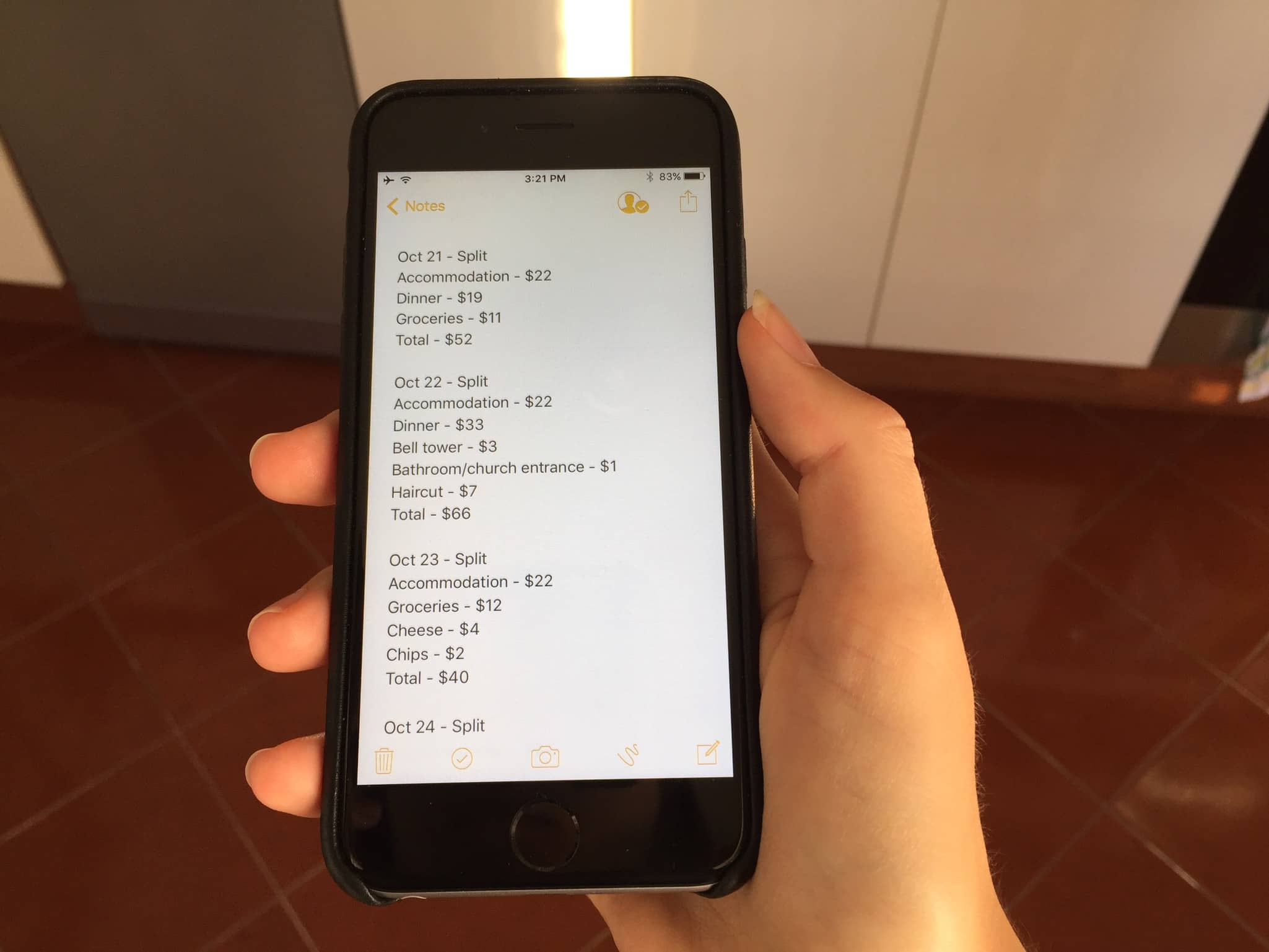 Keeping track of our spending on my phone img_0020