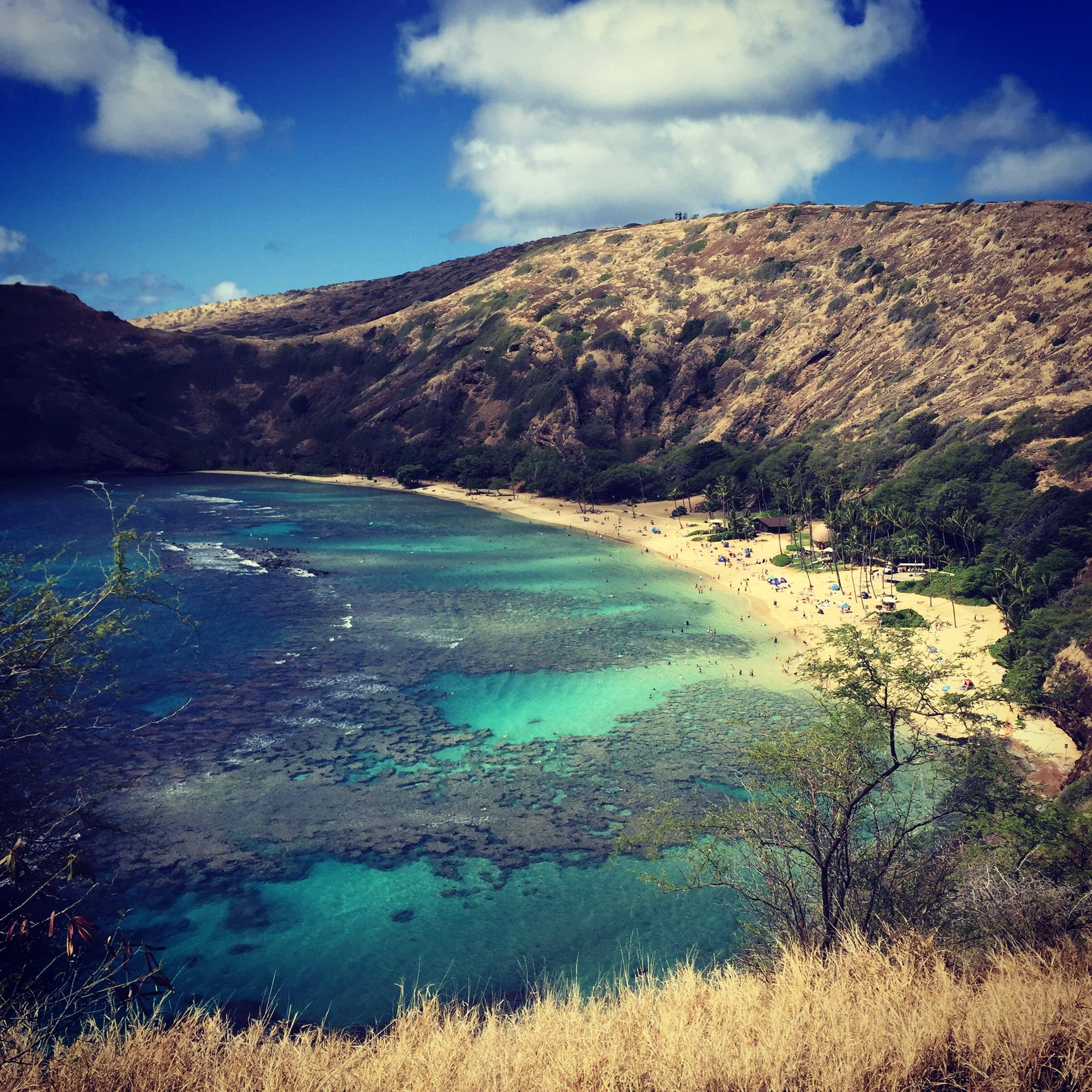 Best snorkeling hanauma bay