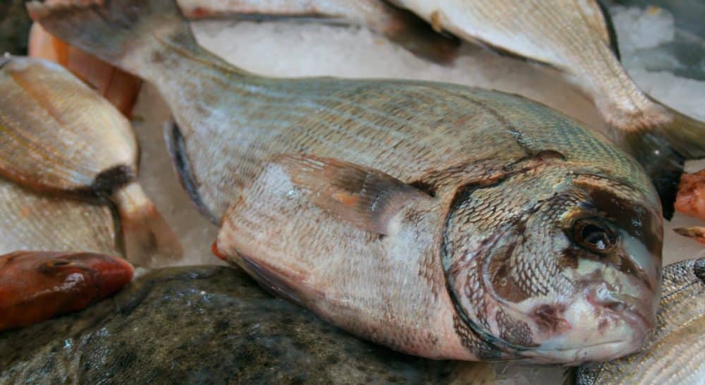 Fish on display at the fish market in Croatia