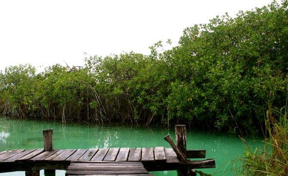  Sian Ka’an Biosphere Reserve