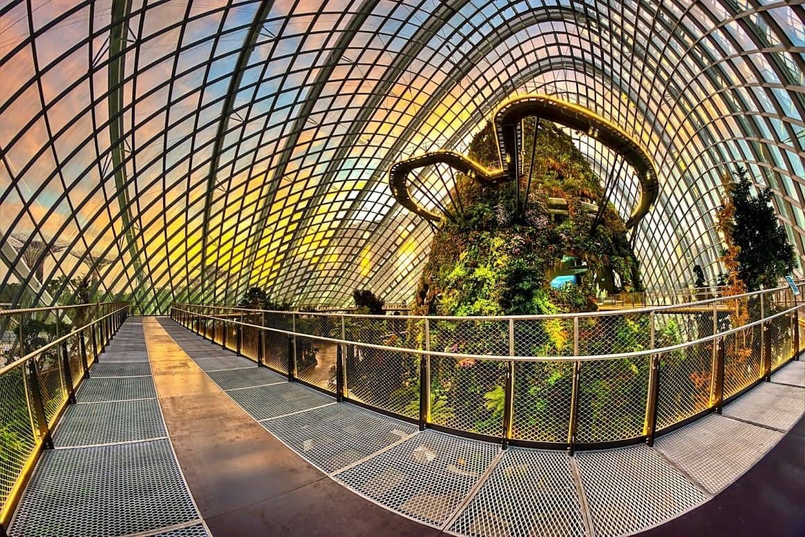 Inside the Cloud Forest Dome in the Beautiful Gardens by the Bay at Sunset