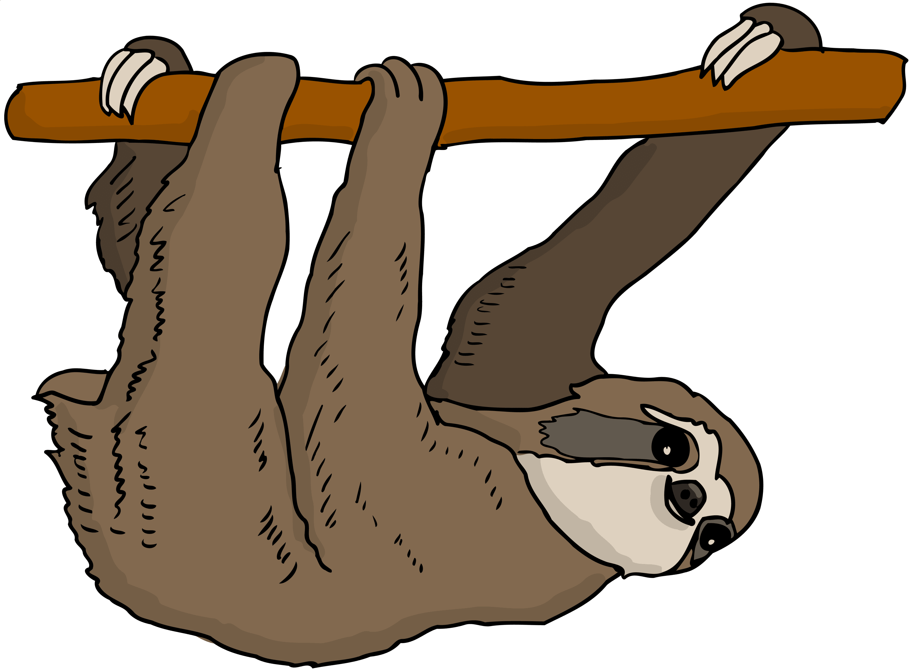 Sloth graphic for International Sloth Day