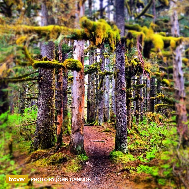 Parkside Trail on Kodiak Island, Alaska. Photo via Trover/John Cannon