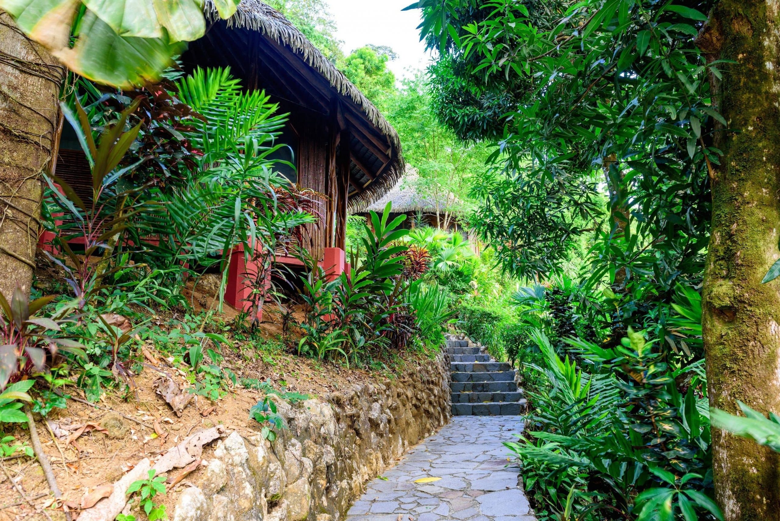 The walkways between villas at Luna Lodge in Costa Rica with thatch roofing, stone pathways, and lush jungle landscape surrounding the path.